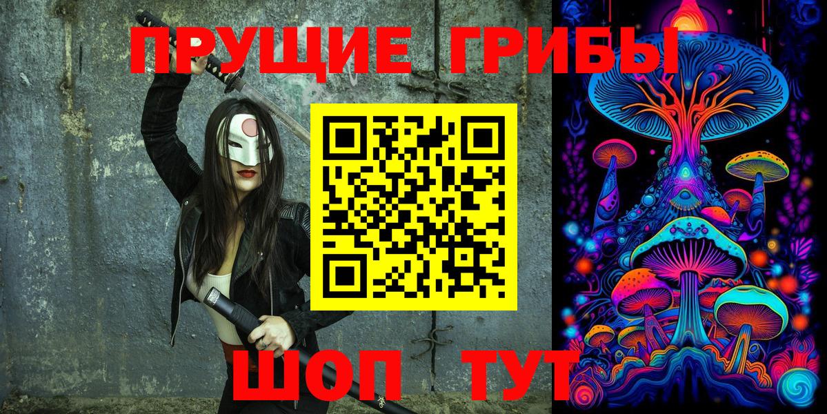 Псилоцибиновые грибы Psilocybine cubensis  Вход с VPN  Псилоцибиновые грибы мухоморы  Петрозаводск 